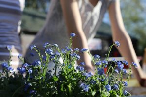 Need to Get Out of the House? Get Your Yard Ready for Spring! 